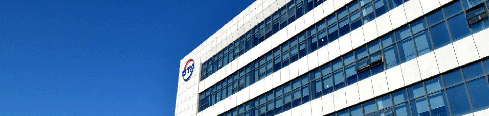上海积塔半导体有限公司